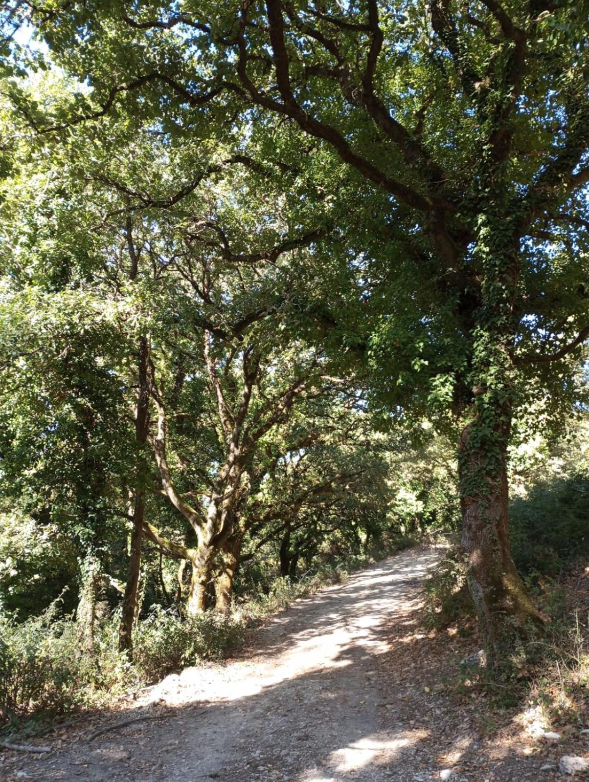 La Casa Di Enza Apartman Santa Margherita di Belice Kültér fotó